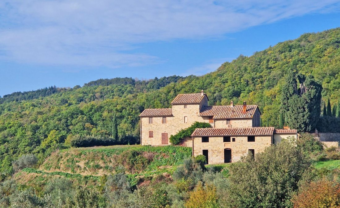 Tuscan Farmhouse For Sale In Chianti In Castelnuovo Berardenga, Tuscany, Italy For Sale (11894963)