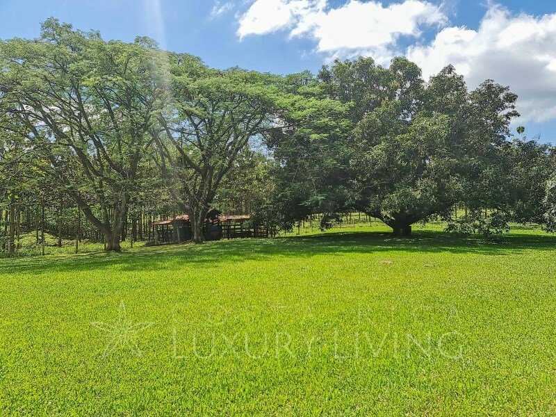 Farm Ranch in San Mateo, Guanacaste Province, Costa Rica 1 - 12342378