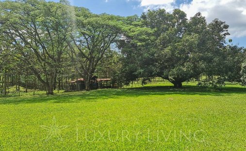 Farm Ranch in San Mateo, Guanacaste Province, Costa Rica 1