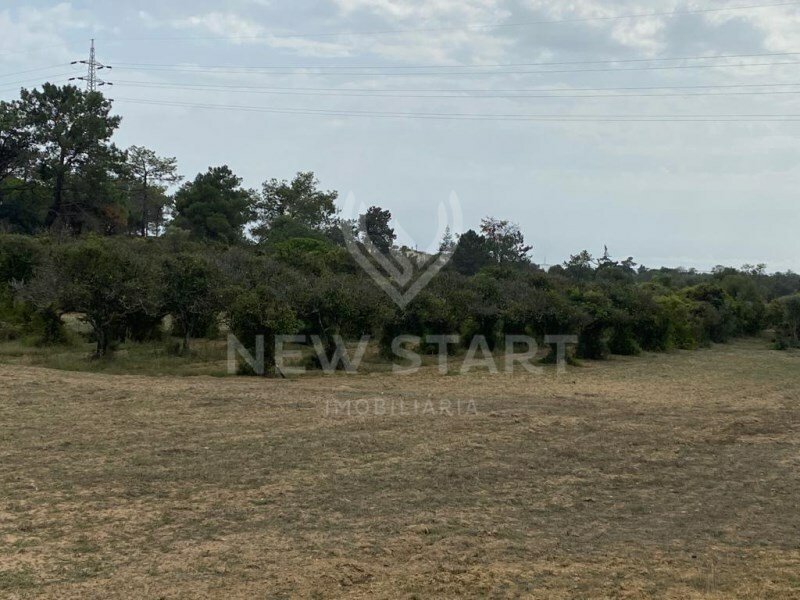 Land With House Near Olhão In Olhão, Algarve, Portugal For Sale (12345246)