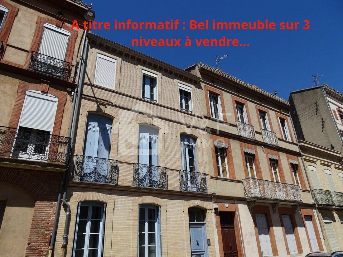 Toulouse House In Toulouse, Occitanie, France For Sale (12344138)