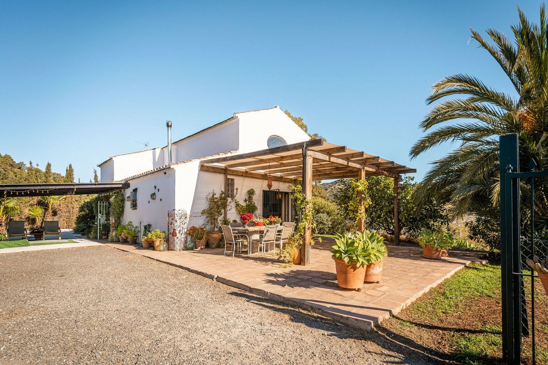 Finca in Estepona, Andalusia, Spain 3 - 12351617