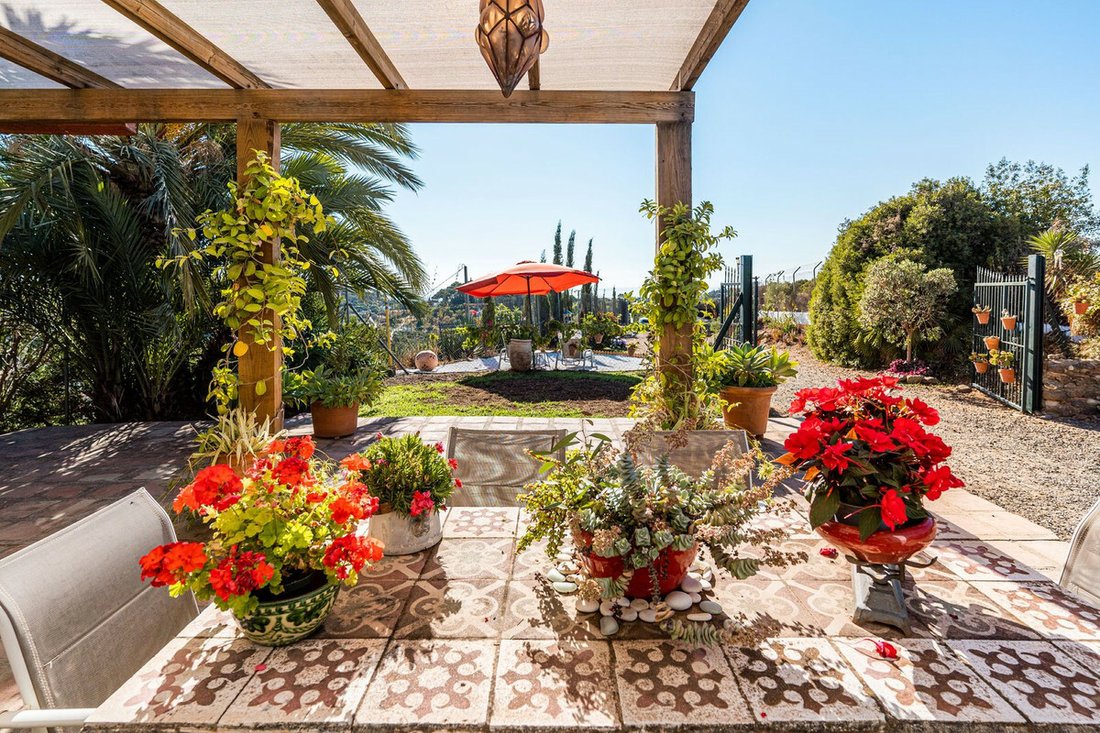 Finca in Estepona, Andalusia, Spain 5 - 12351617