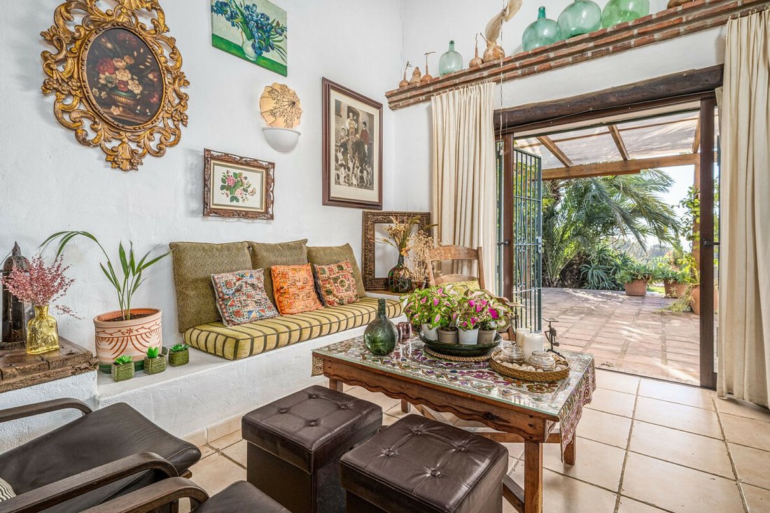 Finca in Estepona, Andalusia, Spain 4 - 12351617