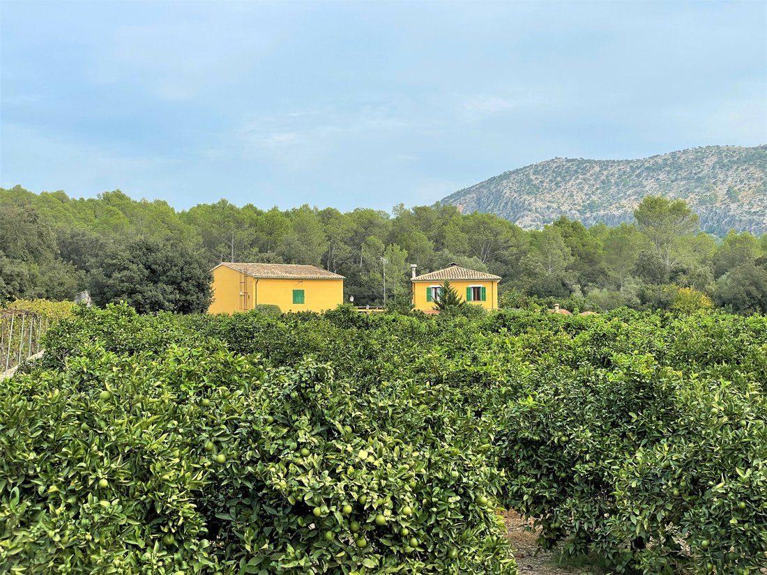 Crestatx Country House In Crestatx, Balearic Islands, Spain For Sale