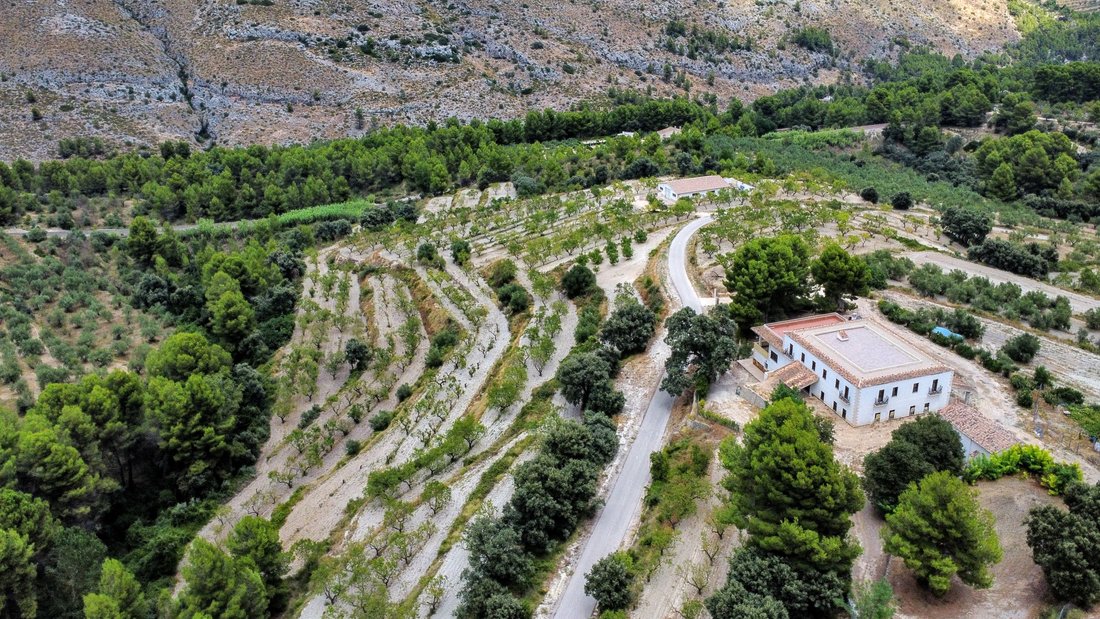 Azienda agricola a Alicante, Comunità Valenzana, Spagna 4 - 12364817