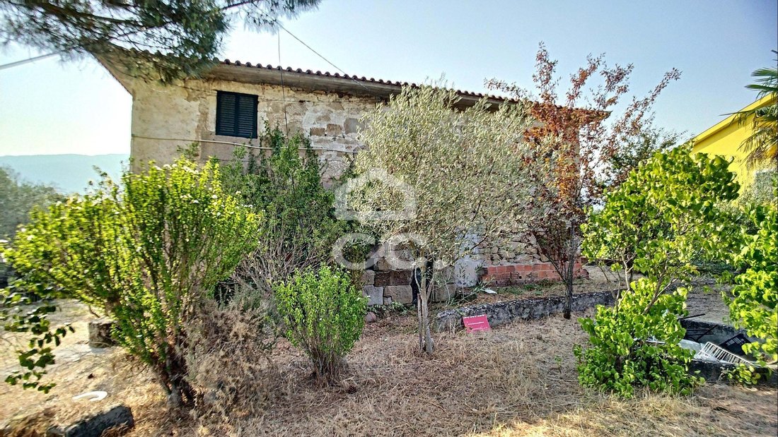 Farm Ranch in Santa Maria Maior, Vila Real District, Portugal 2 - 11090337