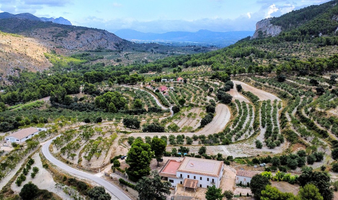 Azienda agricola a Alicante, Comunità Valenzana, Spagna 1 - 12364817