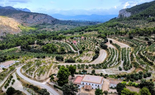 Azienda agricola a Alicante, Comunità Valenzana, Spagna 1