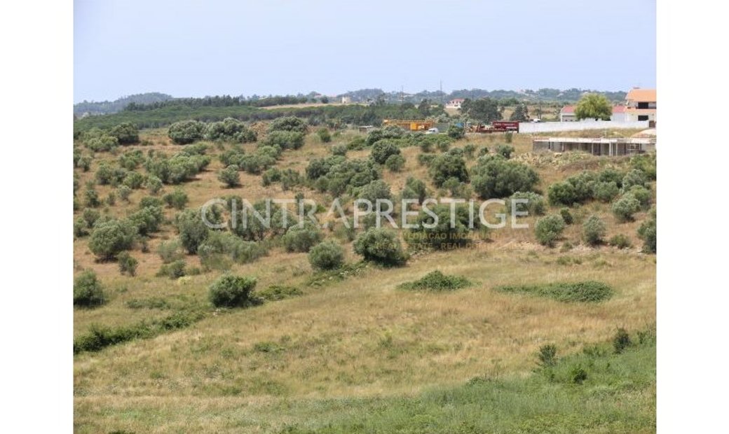 Building Land In Laurel Sintra In Sintra, Lisbon, Portugal For Sale