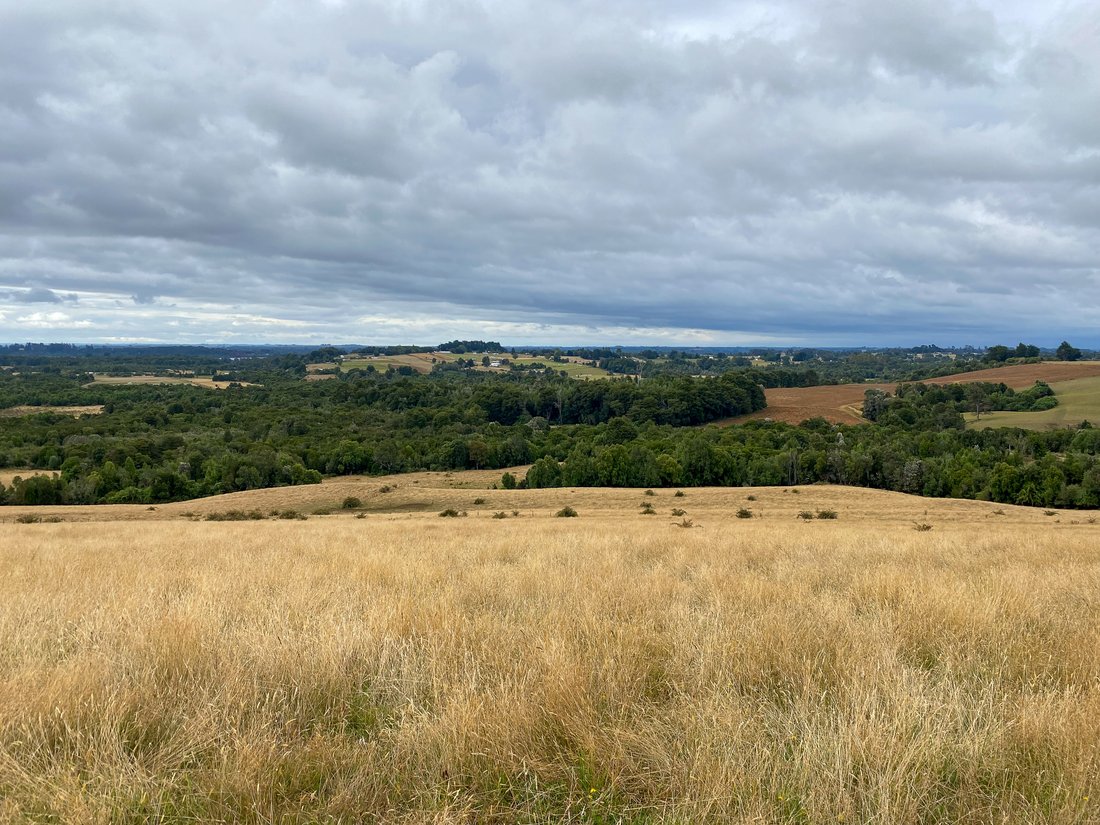 La Esperanza Farm 96 Hectares Los Muermos In Los Muermos, Los Lagos