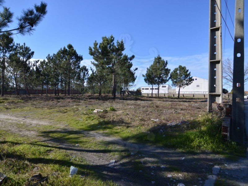 Land Sale Marinha Grande In Marinha Grande, Leiria District, Portugal For Sale (12369872)