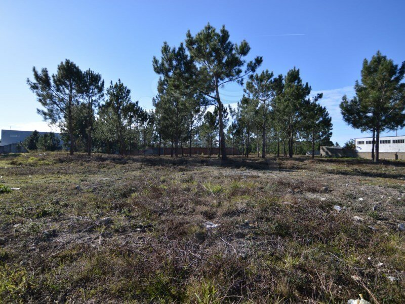 Land Sale Marinha Grande In Marinha Grande, Leiria District, Portugal For Sale (12369872)