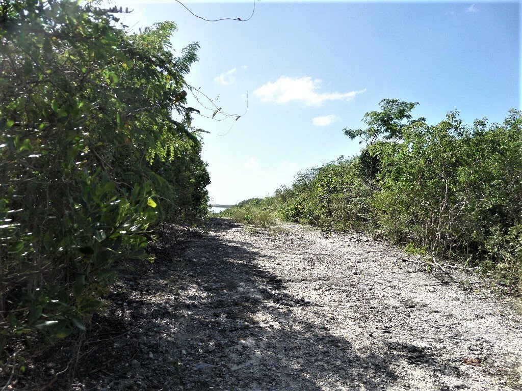 Terrain à Clarence Town, Long Island, Bahamas 3 - 12372262