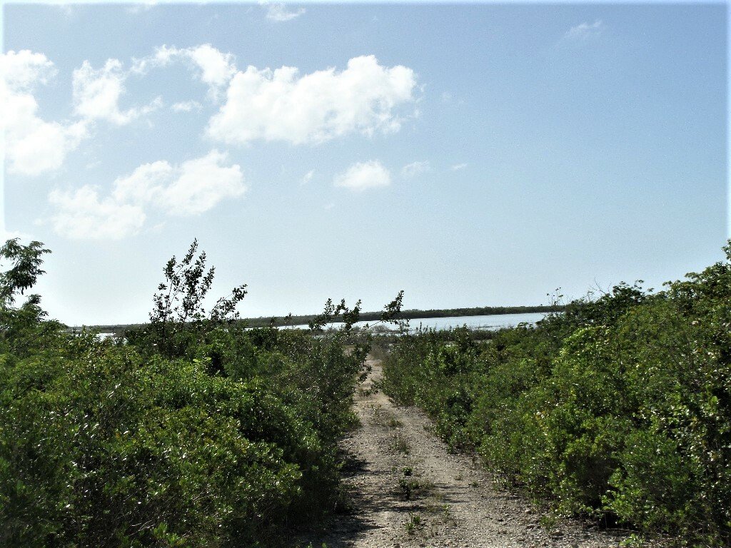 Terrain à Clarence Town, Long Island, Bahamas 4 - 12372262