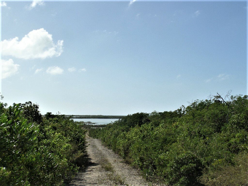 Terrain à Clarence Town, Long Island, Bahamas 5 - 12372262