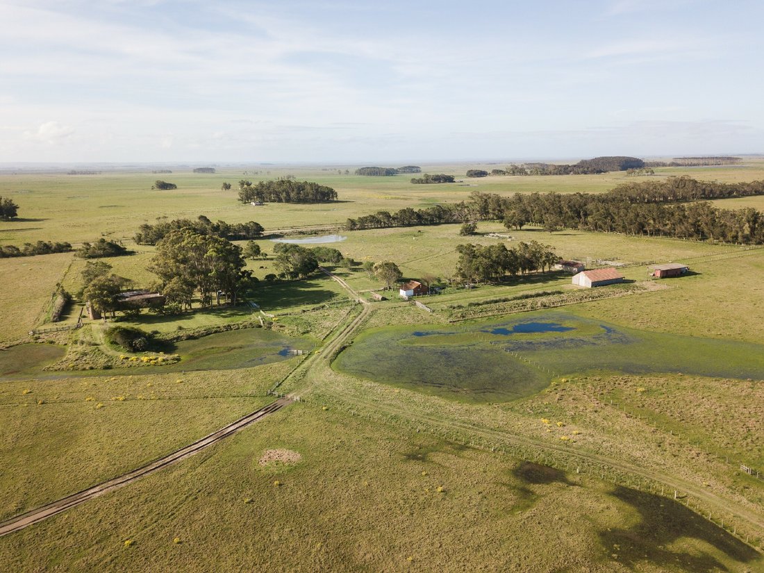 Farm Ranch in Pueblo Nuevo, Rocha Department, Uruguay 2 - 12369911