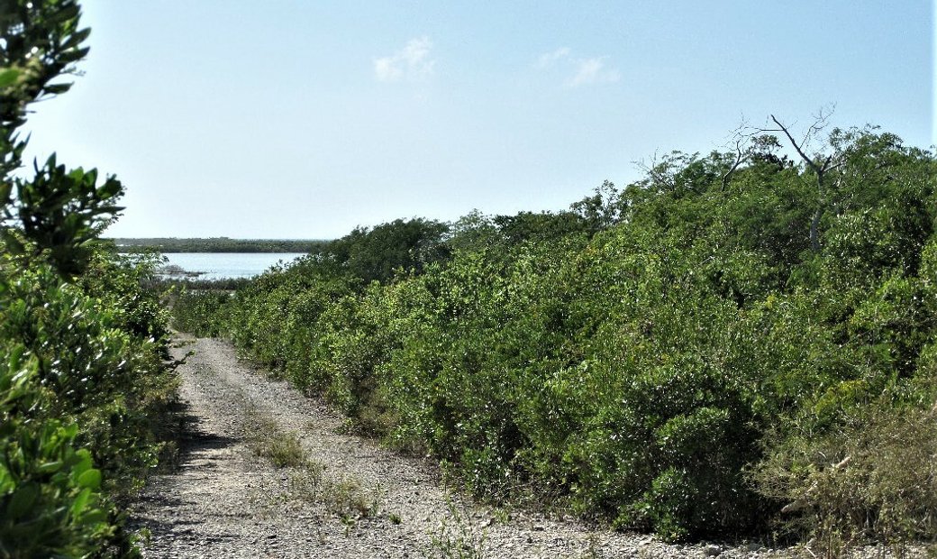 Acreage For Sale In Miley, Long In Clarence Town, Long Island, The