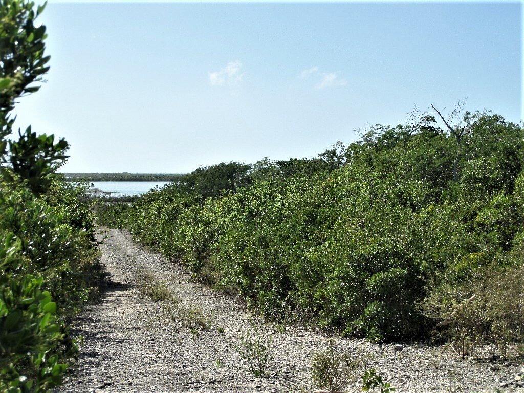 Terrain à Clarence Town, Long Island, Bahamas 1 - 12372262
