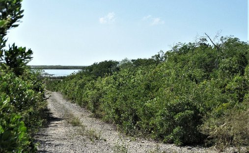 Terrain à Clarence Town, Long Island, Bahamas 1