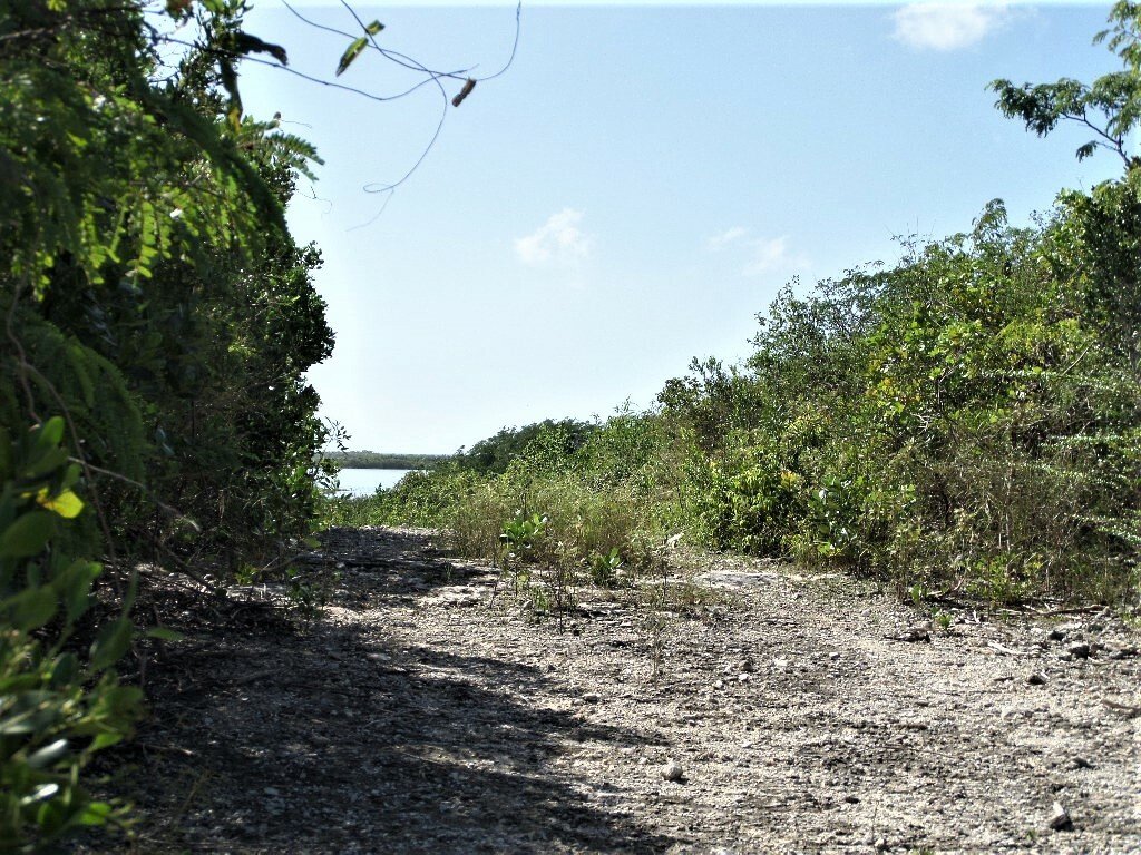 Terrain à Clarence Town, Long Island, Bahamas 2 - 12372262