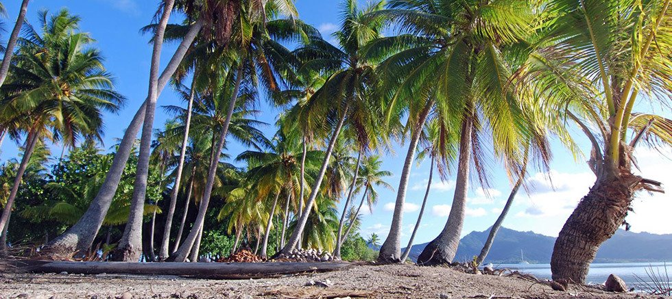 Private Island in Taha'a, Leeward Islands, French Polynesia 4 - 12376376