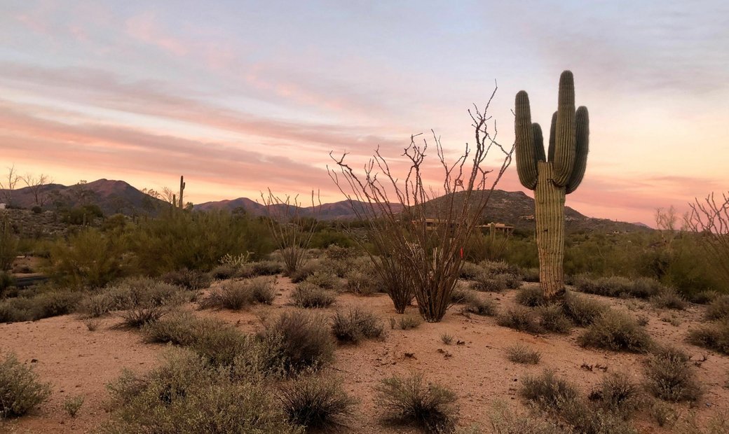 Gambel Quail Preserve 215 In Scottsdale, Arizona, United States For