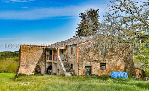 Azienda agricola a Trequanda, Toscana, Italia 1