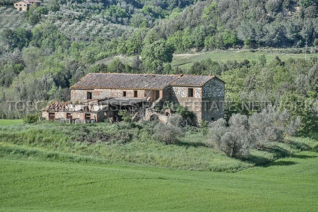 Farm Ranch in Trequanda, Tuscany, Italy 5 - 12378255