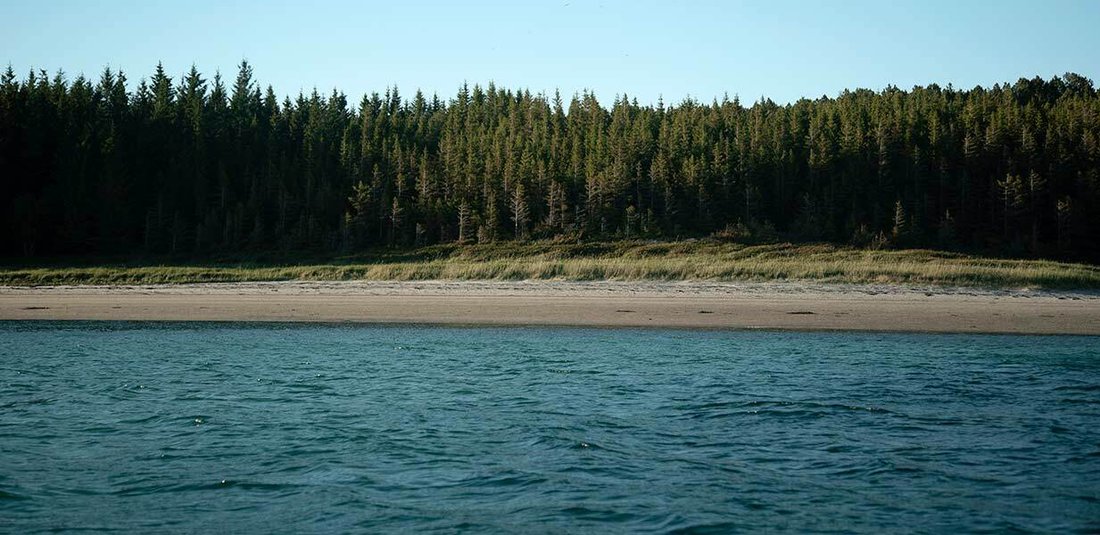 Private Island in Ofotfjord, Nordland, Norway 2 - 12378398