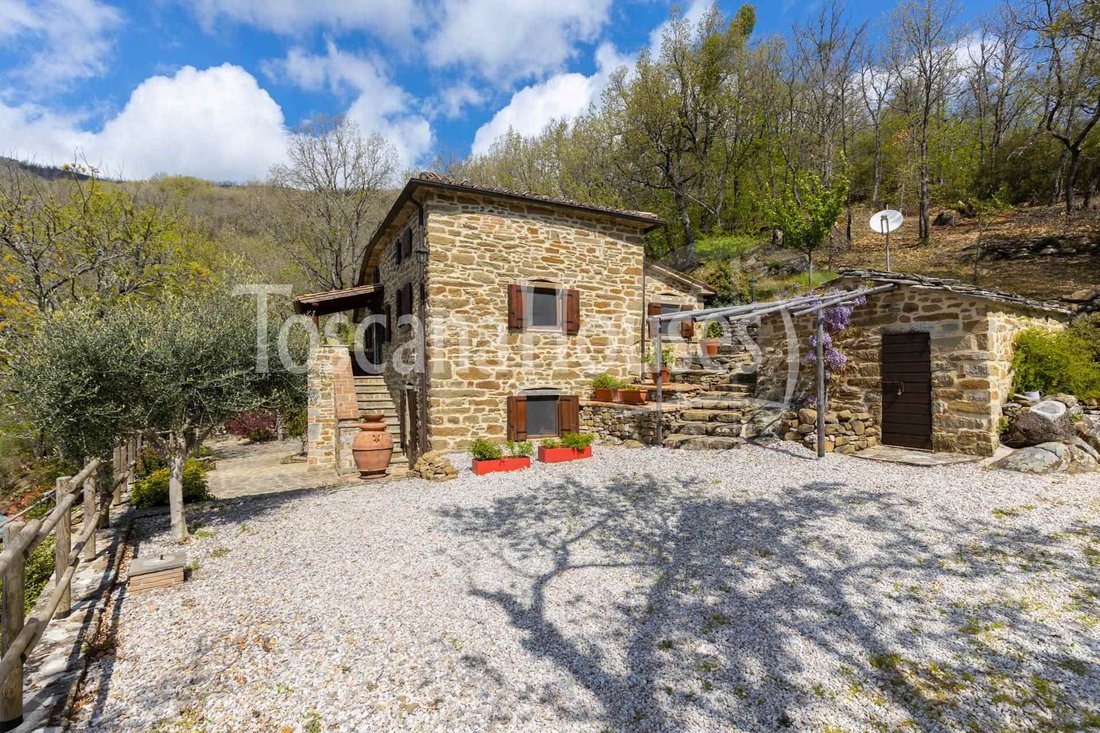 Center, Cortona, Tuscany 5 - 12380019