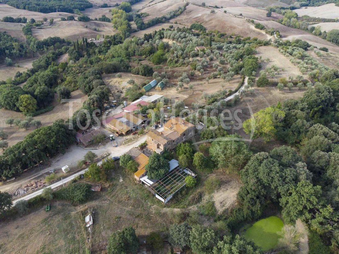 Asciano, Tuscany, Italy 1 - 12380025
