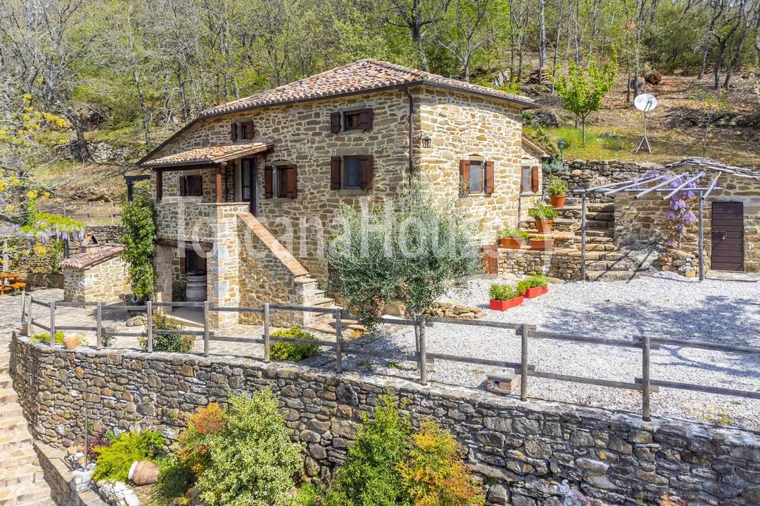 Center, Cortona, Tuscany 1 - 12380019