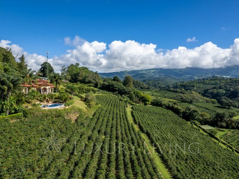 House in Alajuela, Costa Rica 4 - 12379722