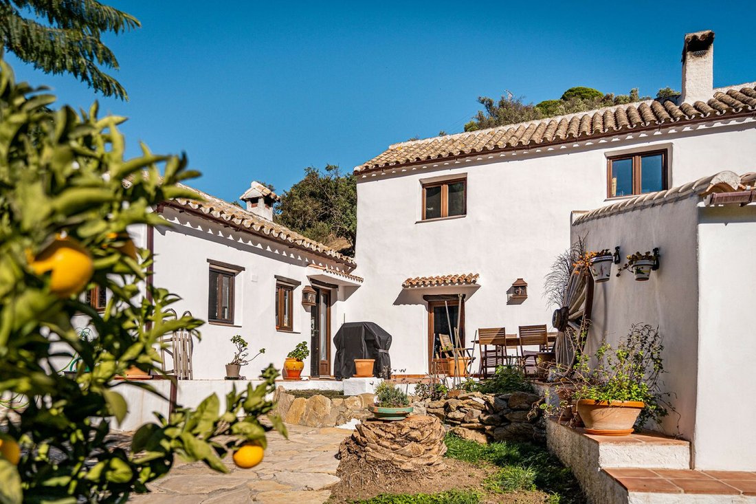 Finca in Casares, Andalusia, Spain 4 - 12382867