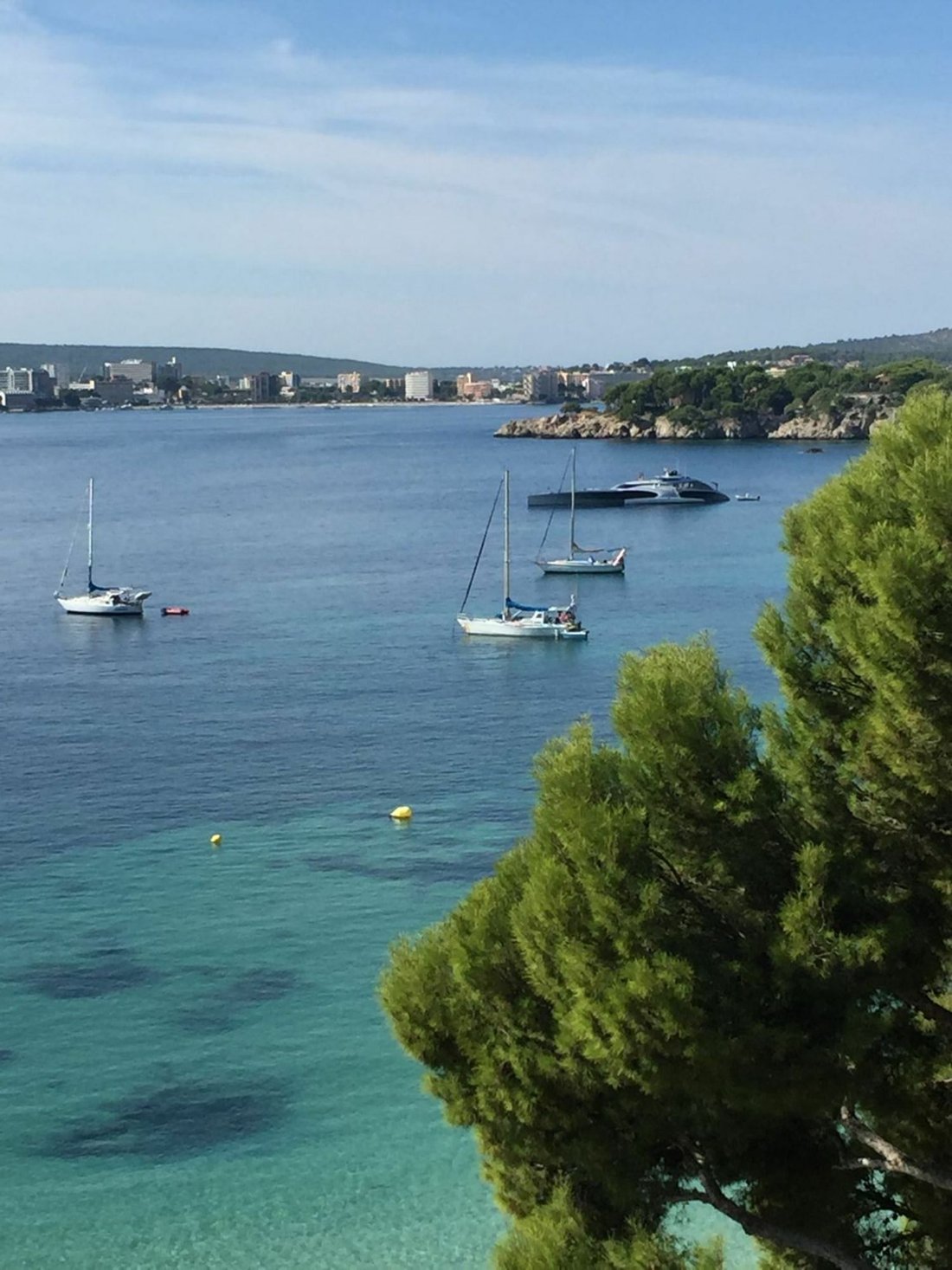 Portals Nous Apartment In Portals Nous, Balearic Islands, Spain For Sale (12384138)