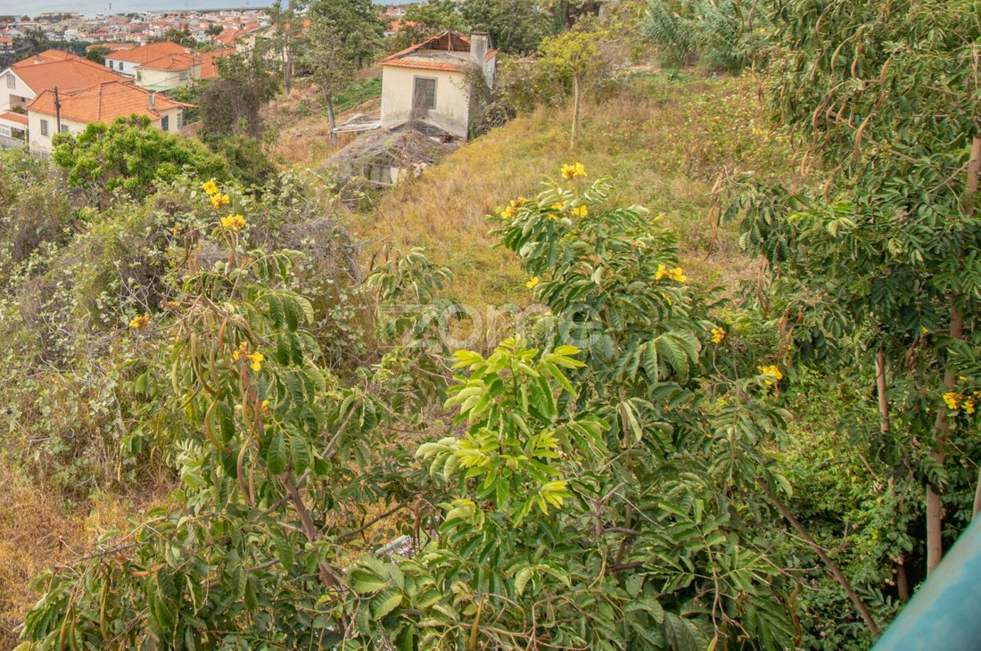 Funchal Land Urban In Funchal, Madeira, Portugal For Sale (12386195)