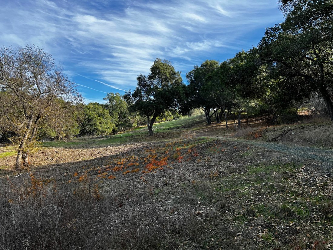 Beautiful 1.25 Acre Lot In Los Altos Hills, California, United States For Sale (12386302)