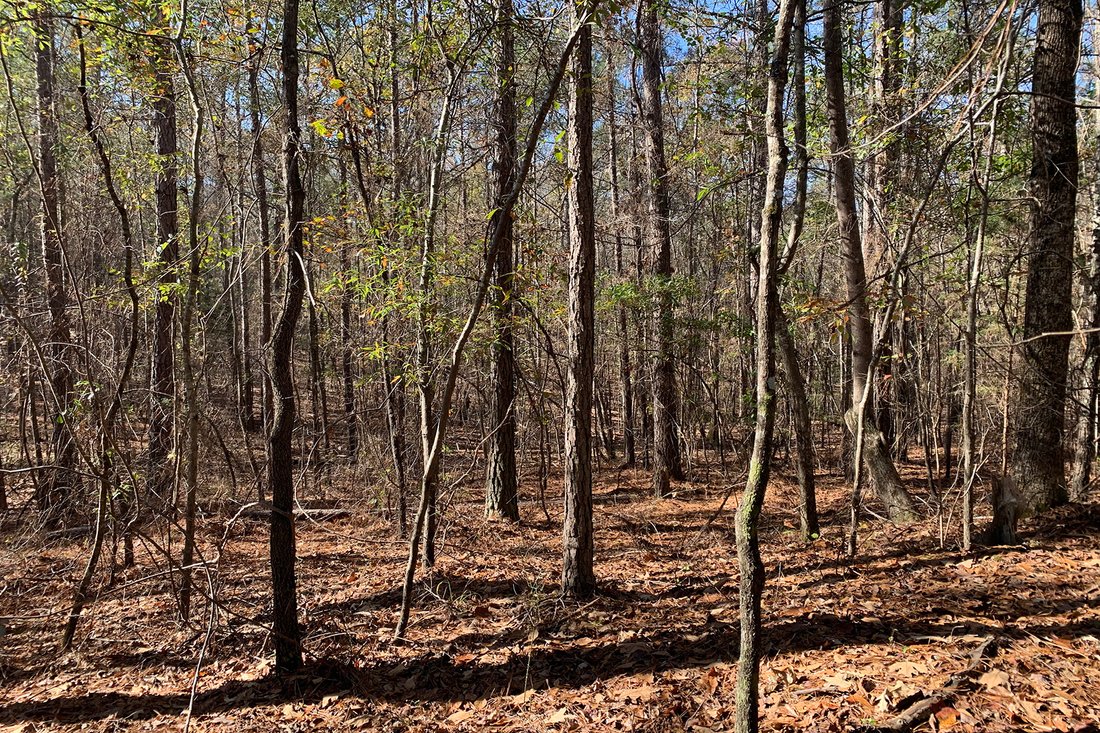 Pristine Acres Within In Chattahoochee Hills, United States