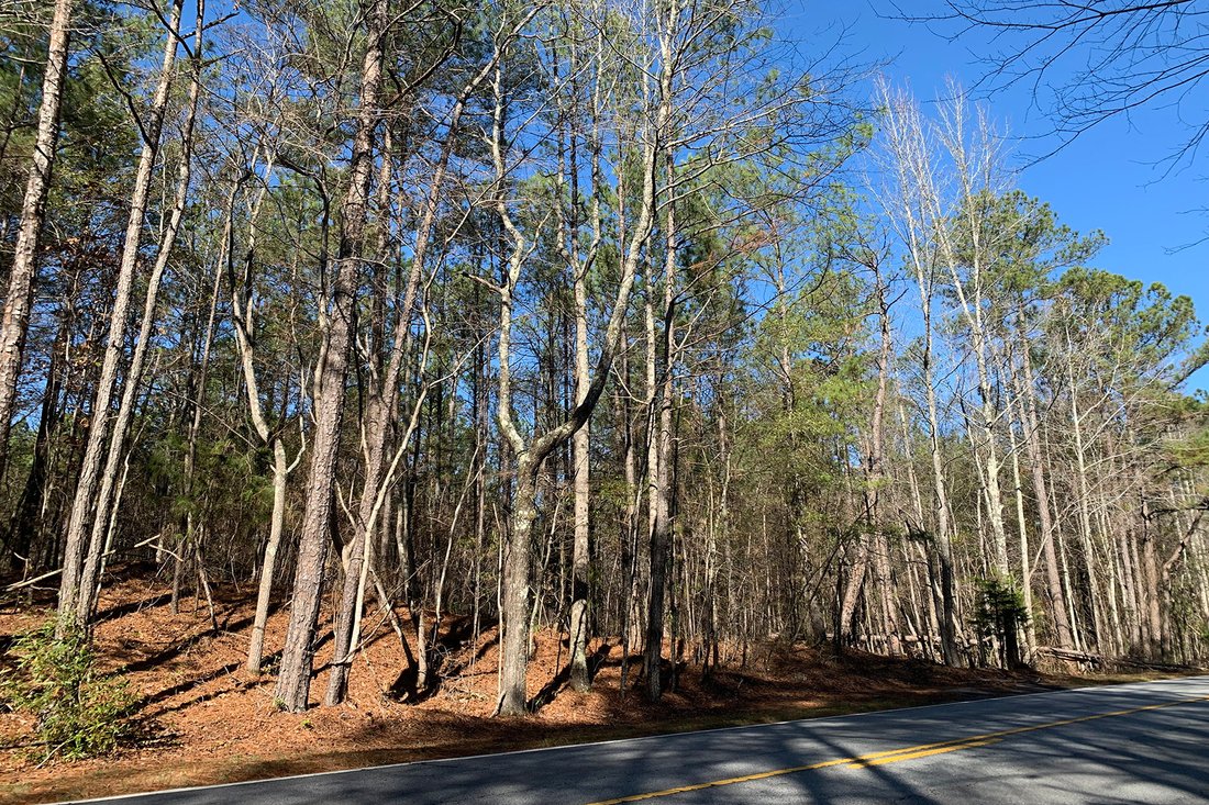 Pristine Acres Within In Chattahoochee Hills, United States