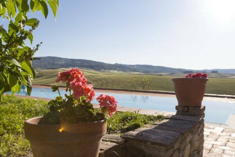 Lajatico, Tuscany, Italy 5 - 12395566