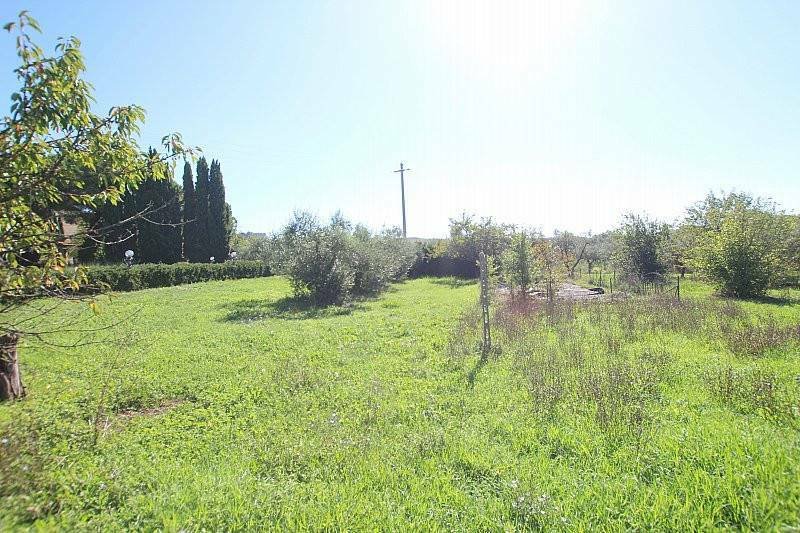 Terricciola, Tuscany, Italy 5 - 12395490
