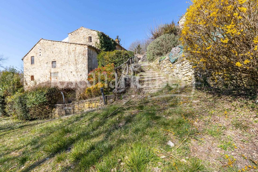 Castellina in Chianti, Tuscany, Italy 4 - 12395557