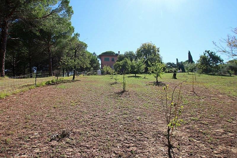 Terricciola, Tuscany, Italy 5 - 12395503