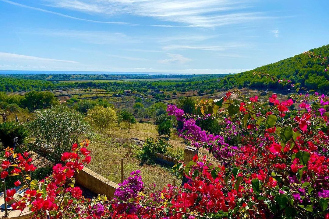 Villa in Felanitx, Balearic Islands, Spain 1 - 12396720