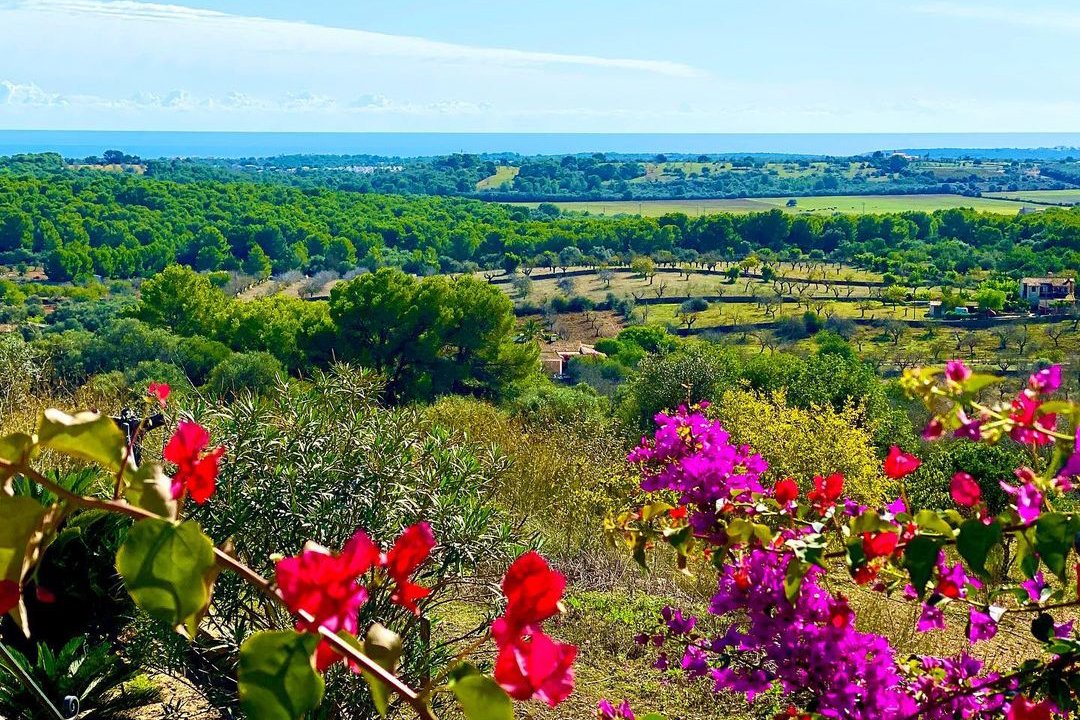 Villa in Felanitx, Balearic Islands, Spain 5 - 12396720