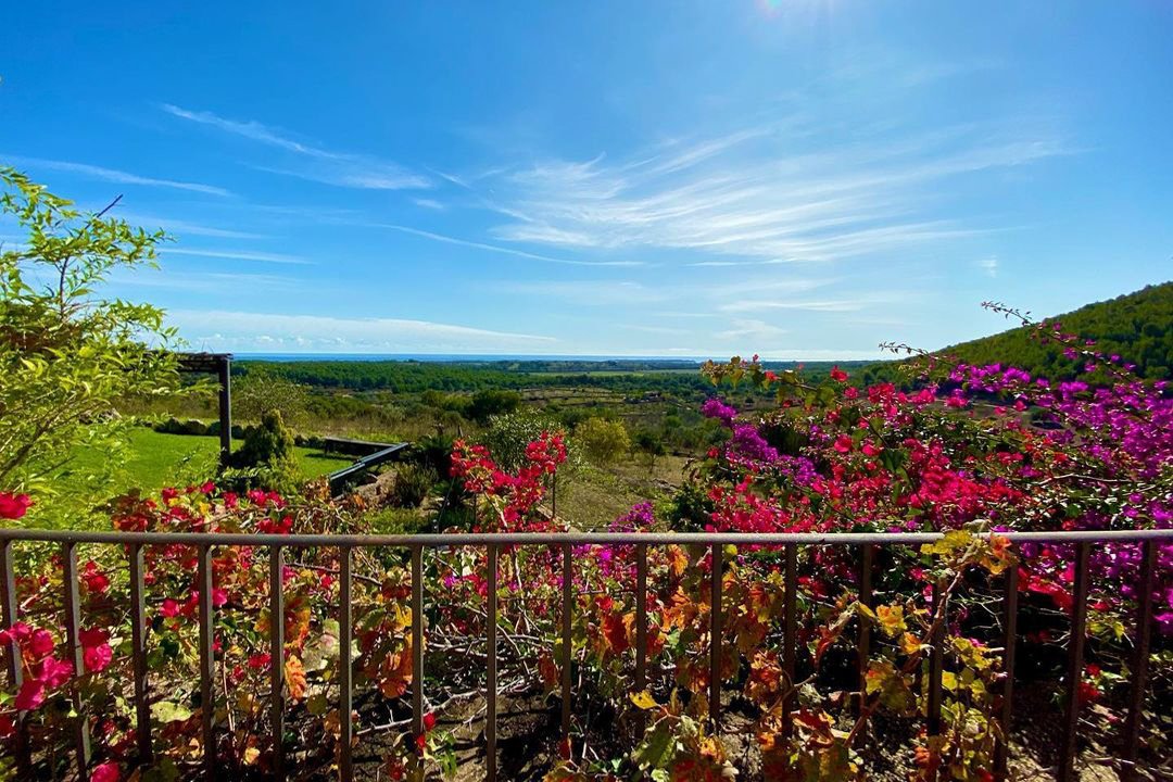 Villa in Felanitx, Balearic Islands, Spain 4 - 12396720