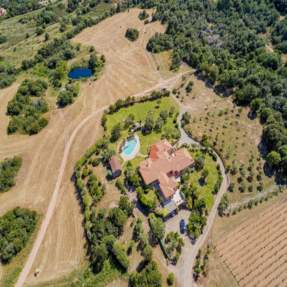 Vineyard For Sale Porto Cervo Funtana Noa In Sardinia, Italy For Sale