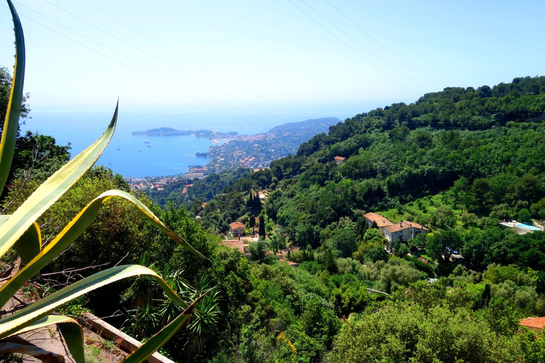 Land in Villefranche-sur-Mer, Provence-Alpes-Côte d'Azur, France 1 - 12397504