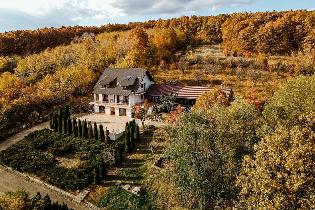 House in Fundeni, Prahova, Romania 5 - 12397577